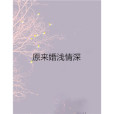 原來婚淺情深(落錦著網路小說)