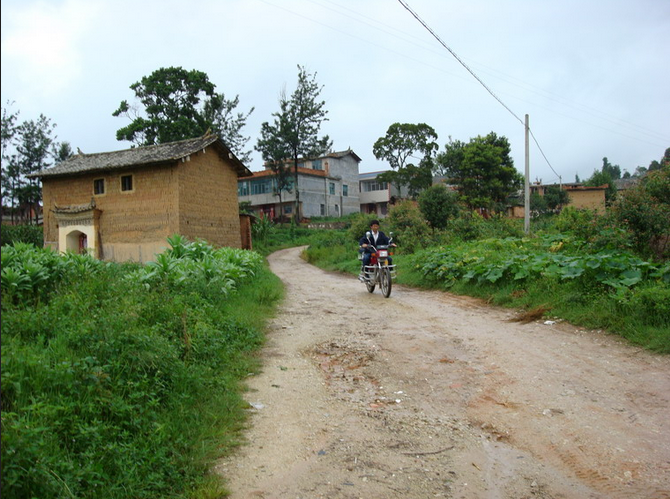 龍泉河東村