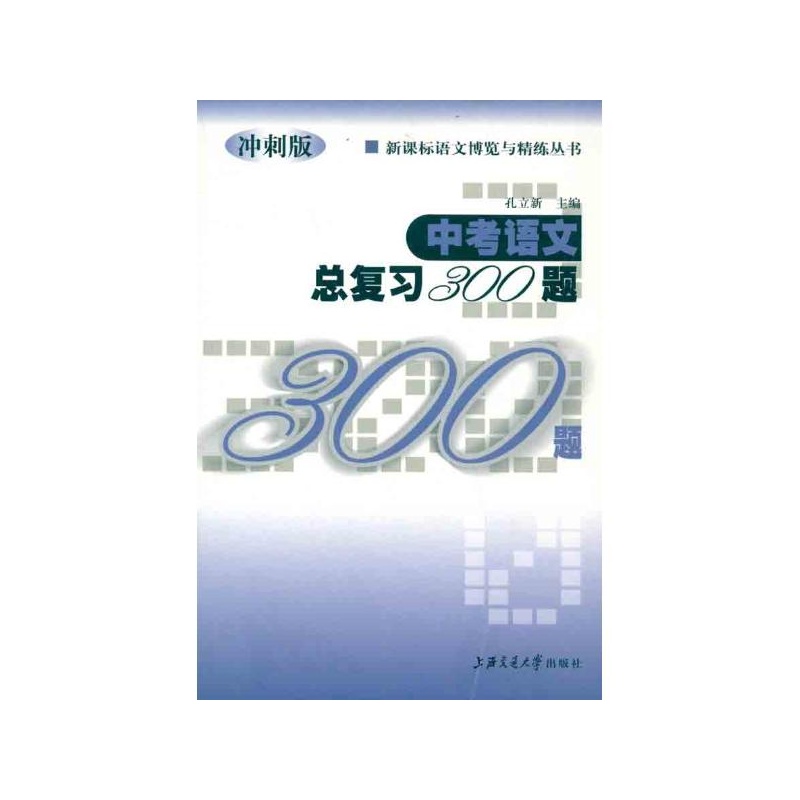 中考語文總複習300題