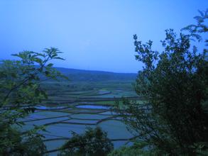 飛馬村