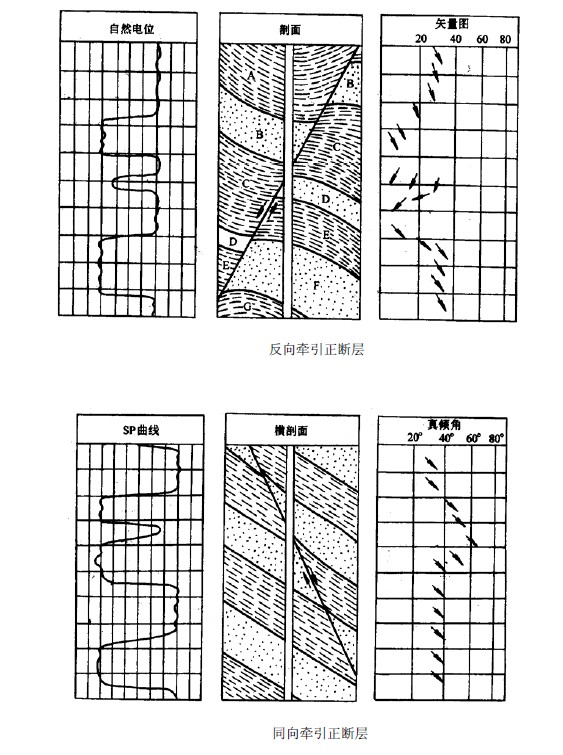 測井構造研究