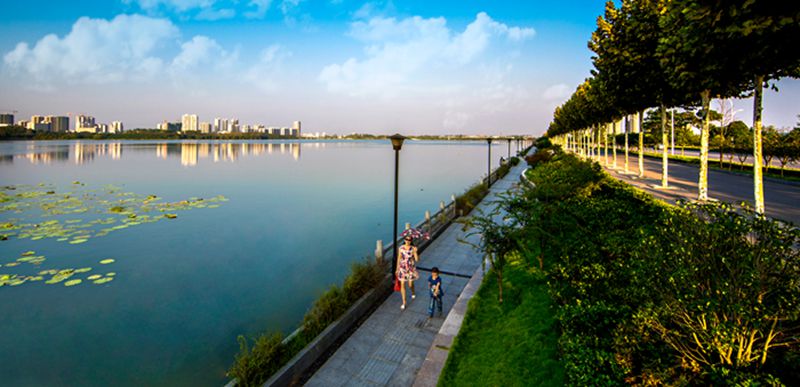 湖北黃岡遺愛湖國家濕地公園