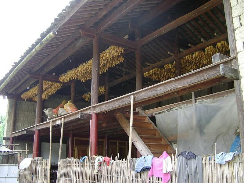 老街子自然村(雲南文山市壩心彝族鄉他披村下轄自然村)