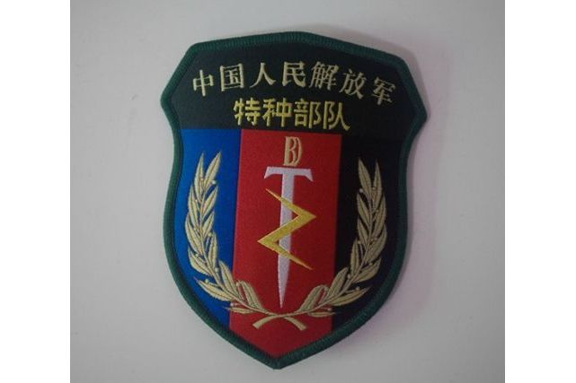 中國人民解放軍特種部隊(中國特種部隊)