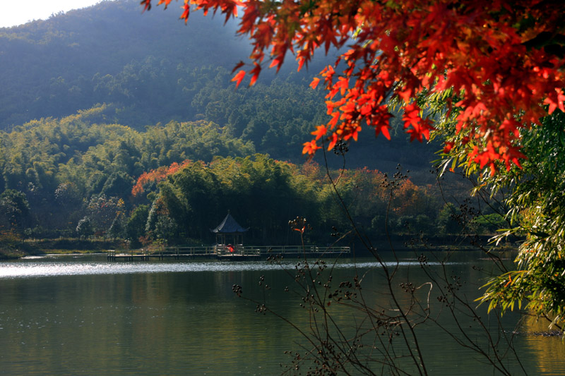 美人谷森林公園