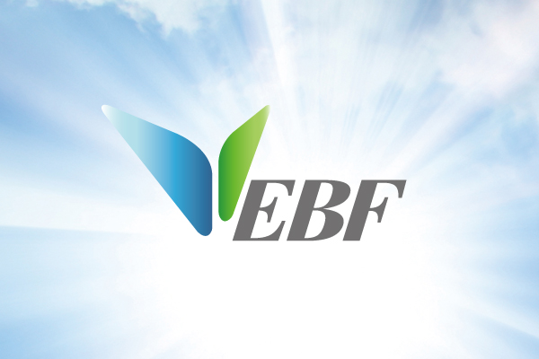 EBF INTERNATIONAL