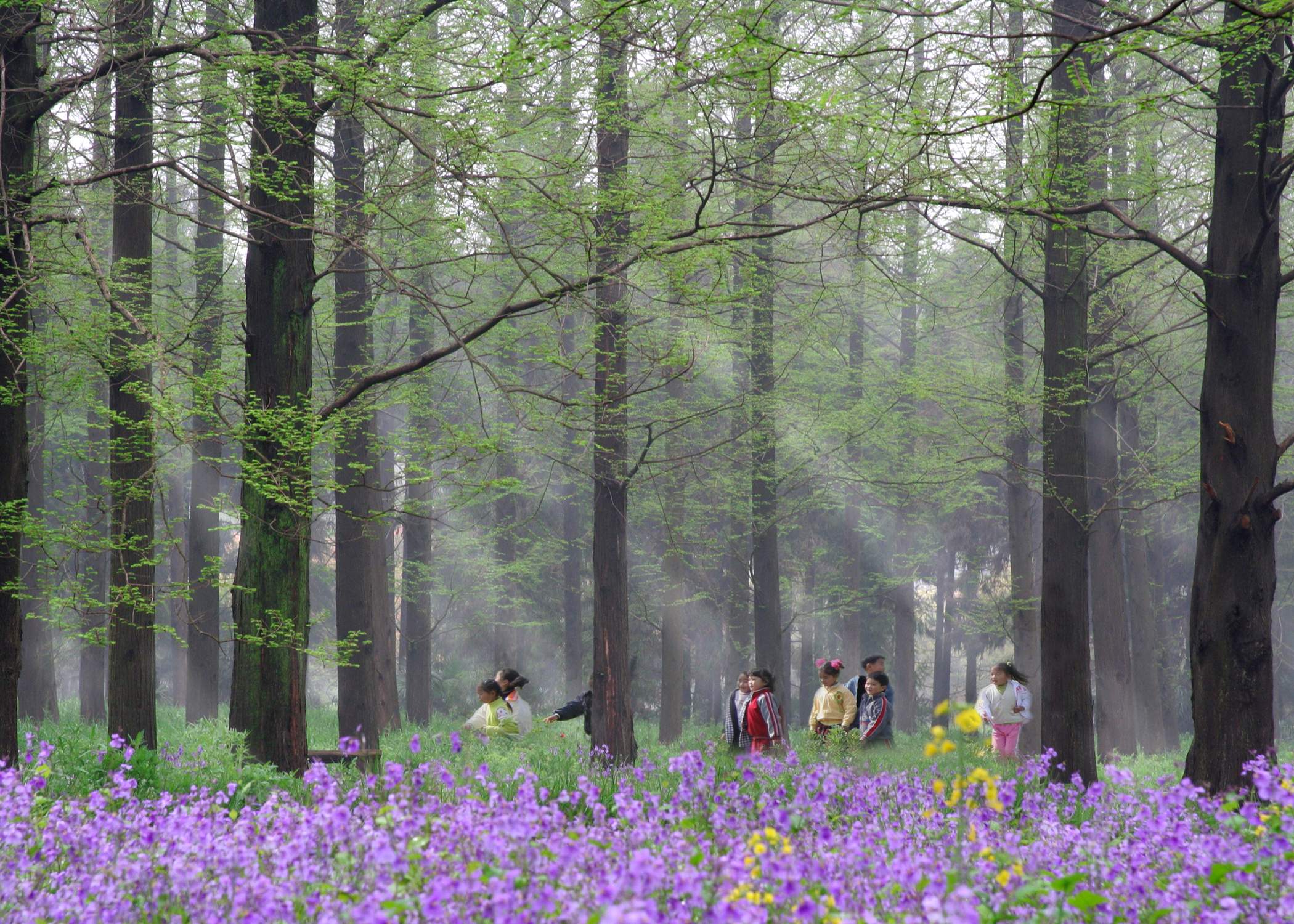 東平國家森林公園