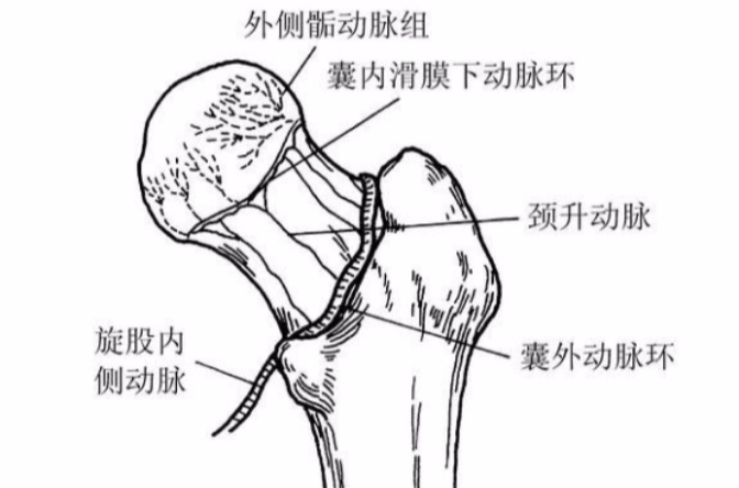 超微創介入融通技術