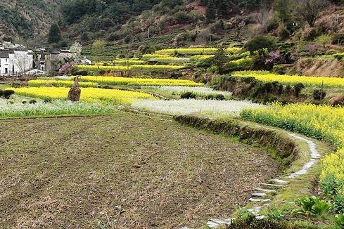 廬坑古道