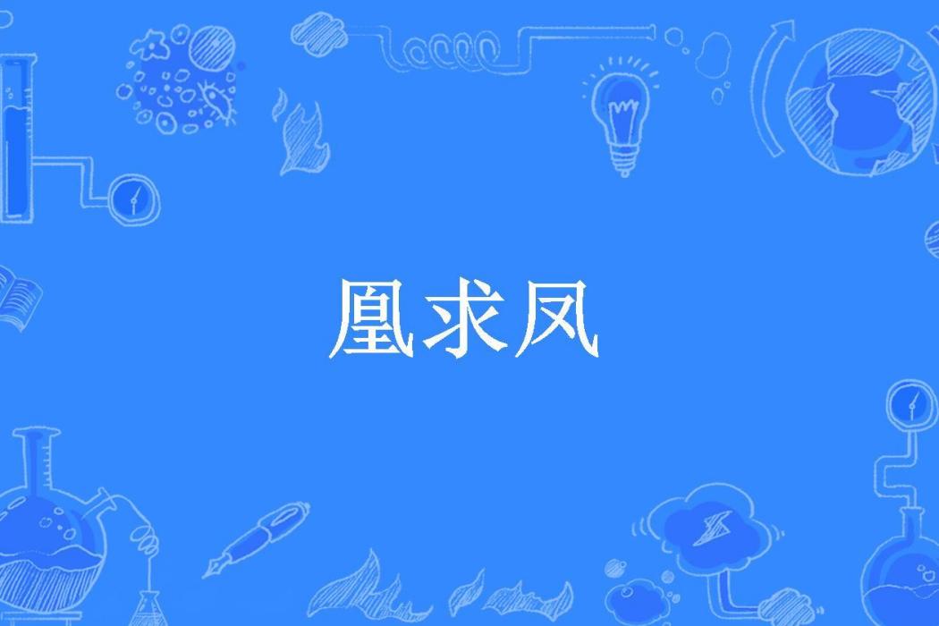 凰求鳳(淺淺所著小說)