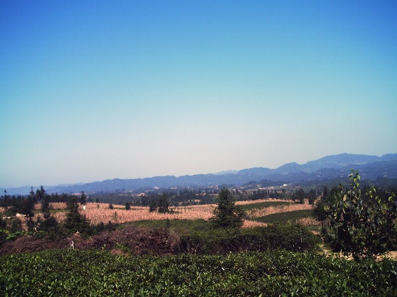 生基村(雲南省昭通鹽津縣灘頭鄉生基村)