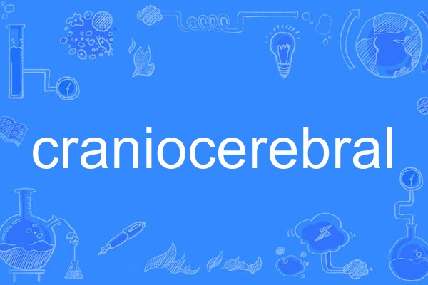 craniocerebral