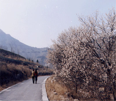 方山景區