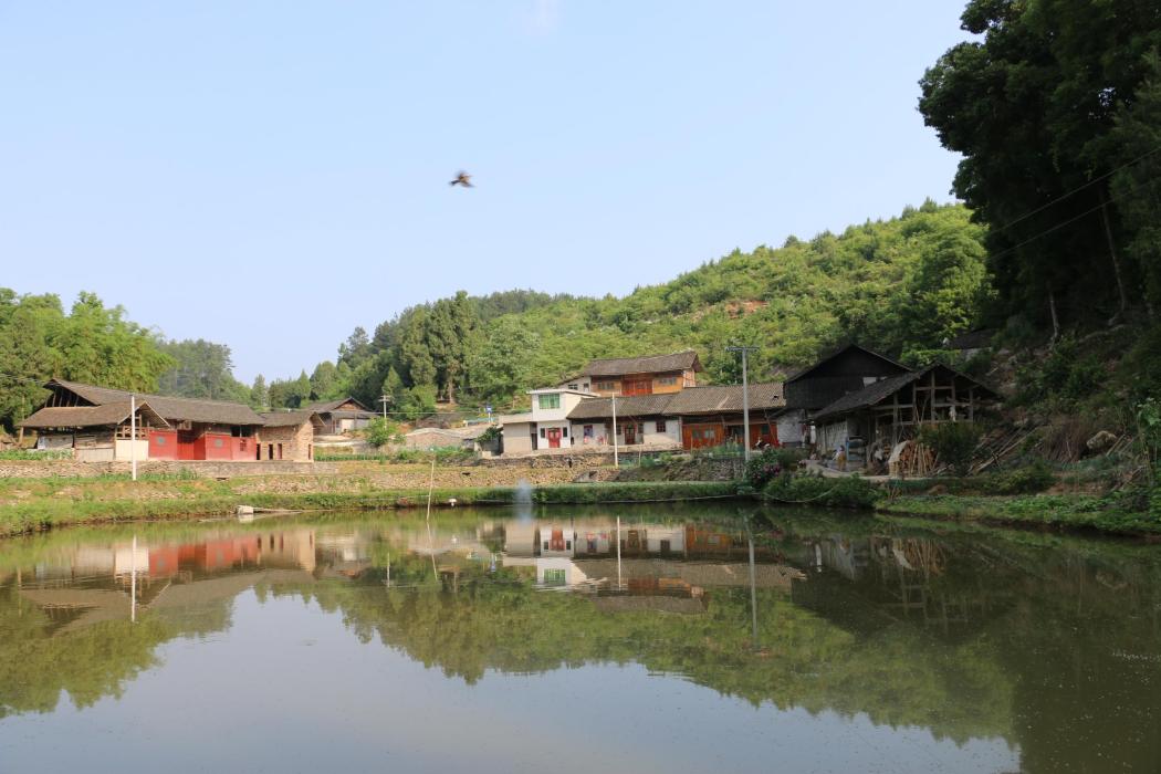 屯山村(來賓市北泗鄉下轄村)