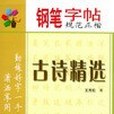 鋼筆字帖：古詩精選(2005年上海科學技術文獻出版的圖書)