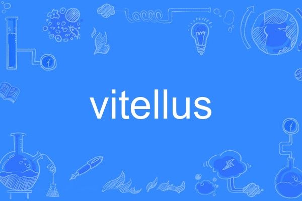 vitellus