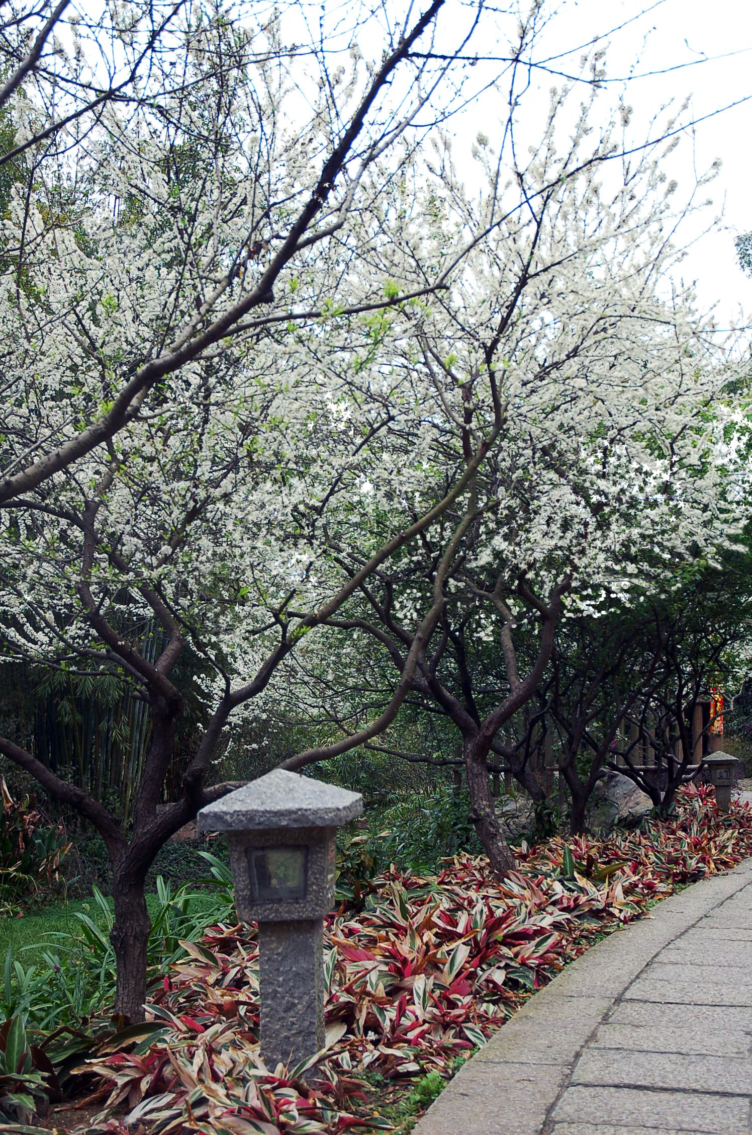 廣州市白雲山景區