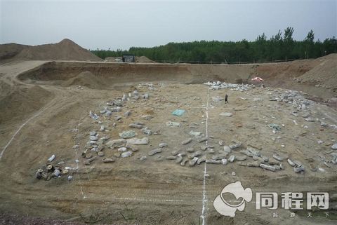 諸城白堊紀恐龍地質公園