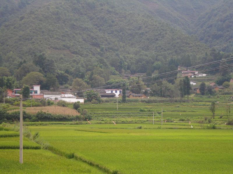 高寨自然村(雲南省保山市昌寧縣漭水鎮高寨自然村)