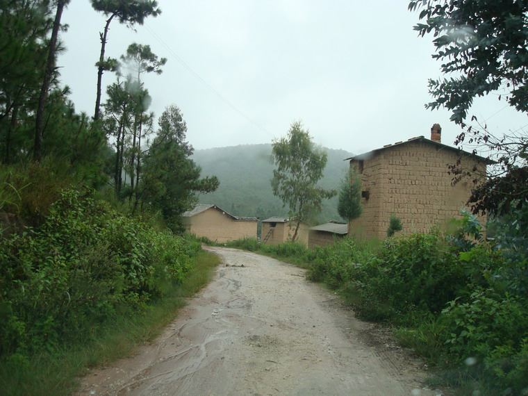 進村道路