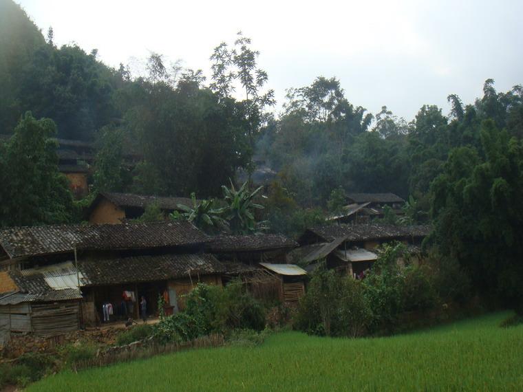 桐子園村(雲南省文山州馬關縣夾寒箐鎮桐子園村)