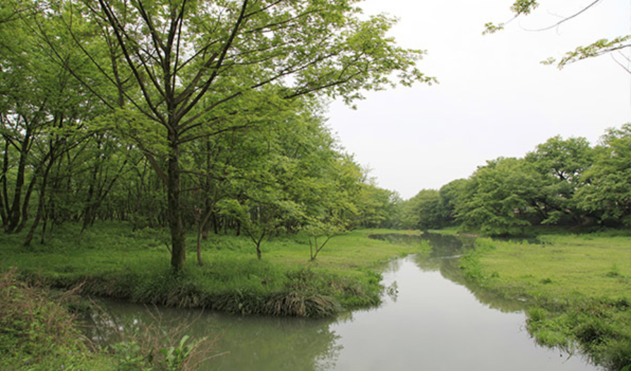 浙江麗水九龍國家濕地公園