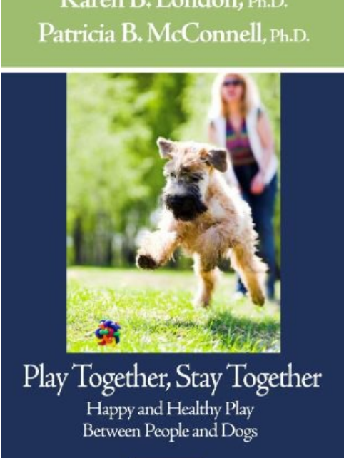 Play Together, Stay Together