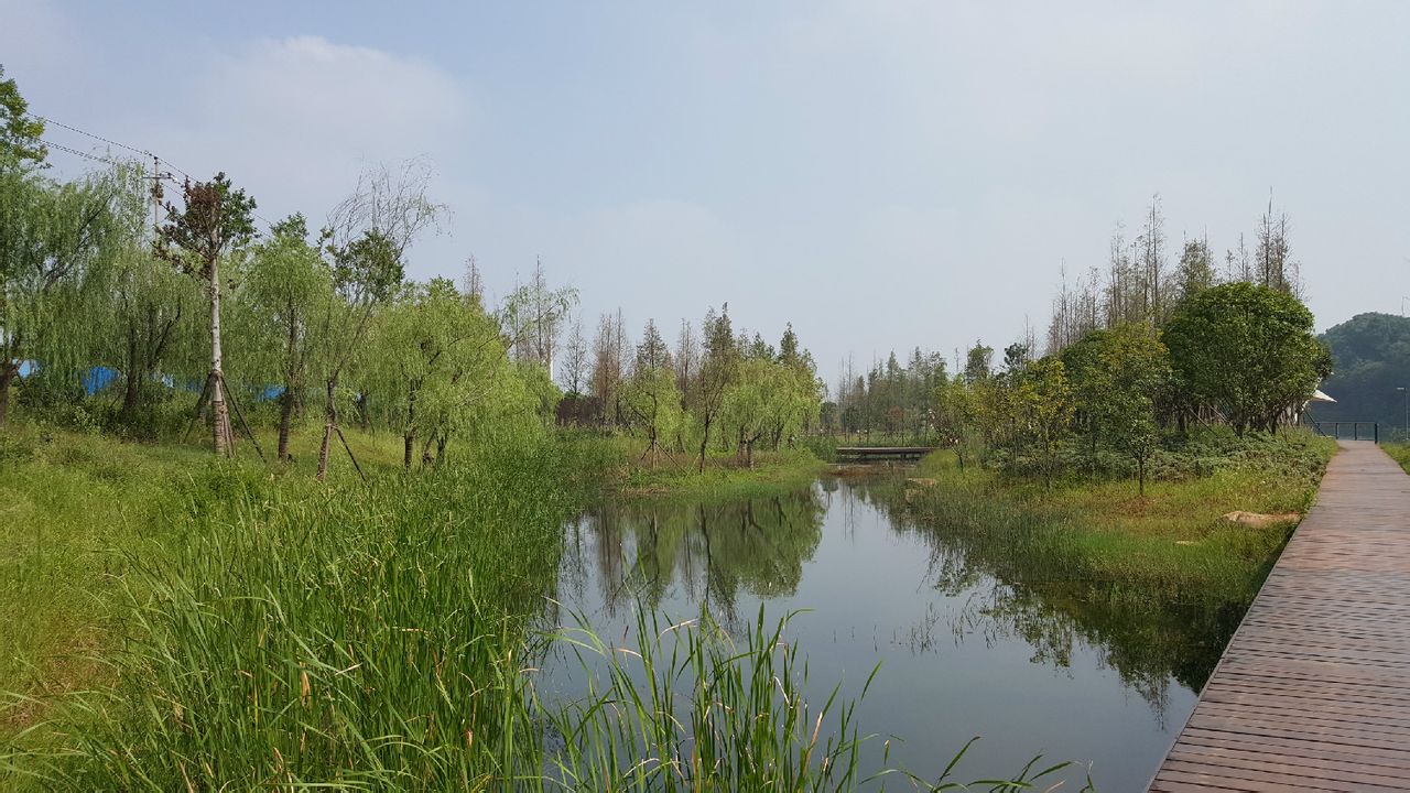 木魚湖濕地公園