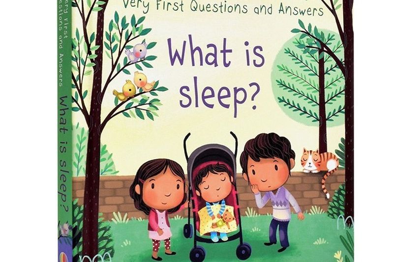 Usborne Lift-the-flap Questions and Answers: What is Sleep?