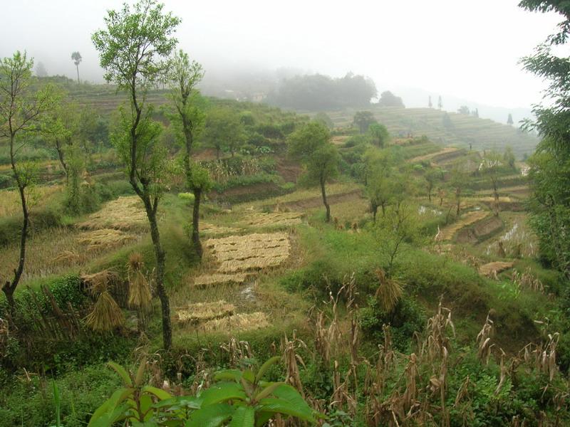 村中田園