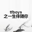 tfboys之一生伴隨你