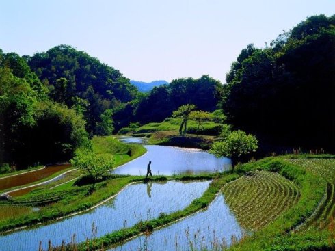 龍灣鎮(廣東省羅定市龍灣鎮)