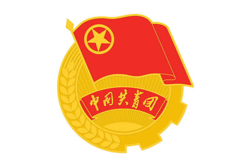 中國共產主義青年團大同市雲岡區委員會
