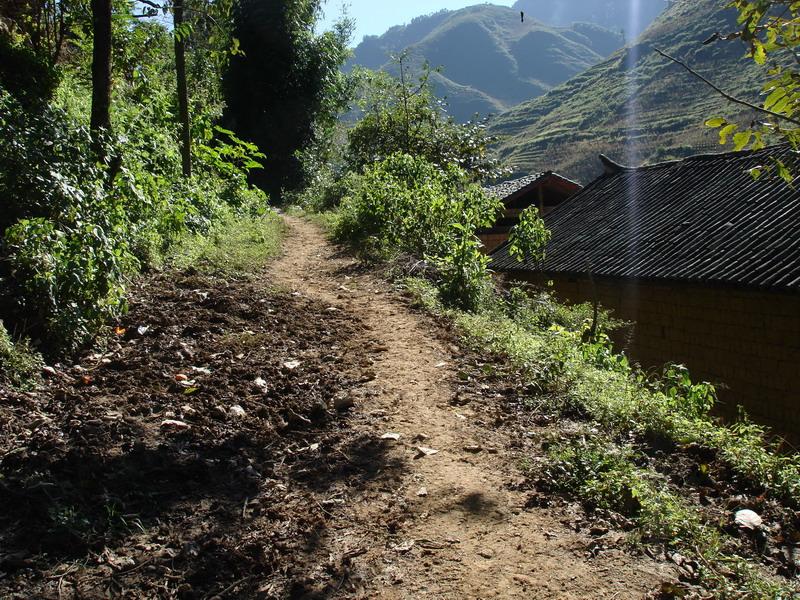 禾木樹自然村村內道路