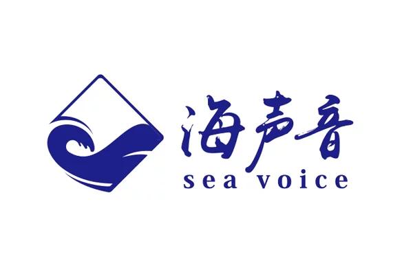 深圳市海聲音實業發展有限公司