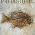 Prehistoric(DK著圖書)