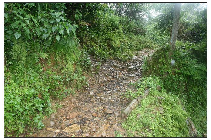 麻窩鋪自然村村內山路