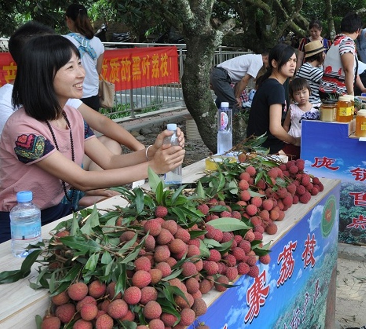 龐寨黑葉荔枝