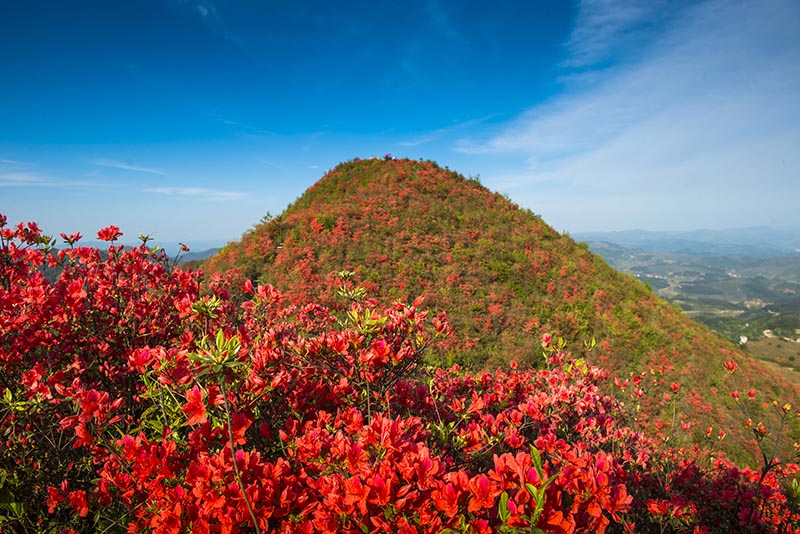 大高山