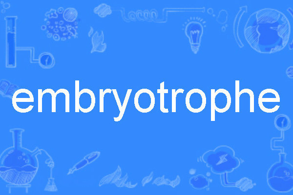 embryotrophe