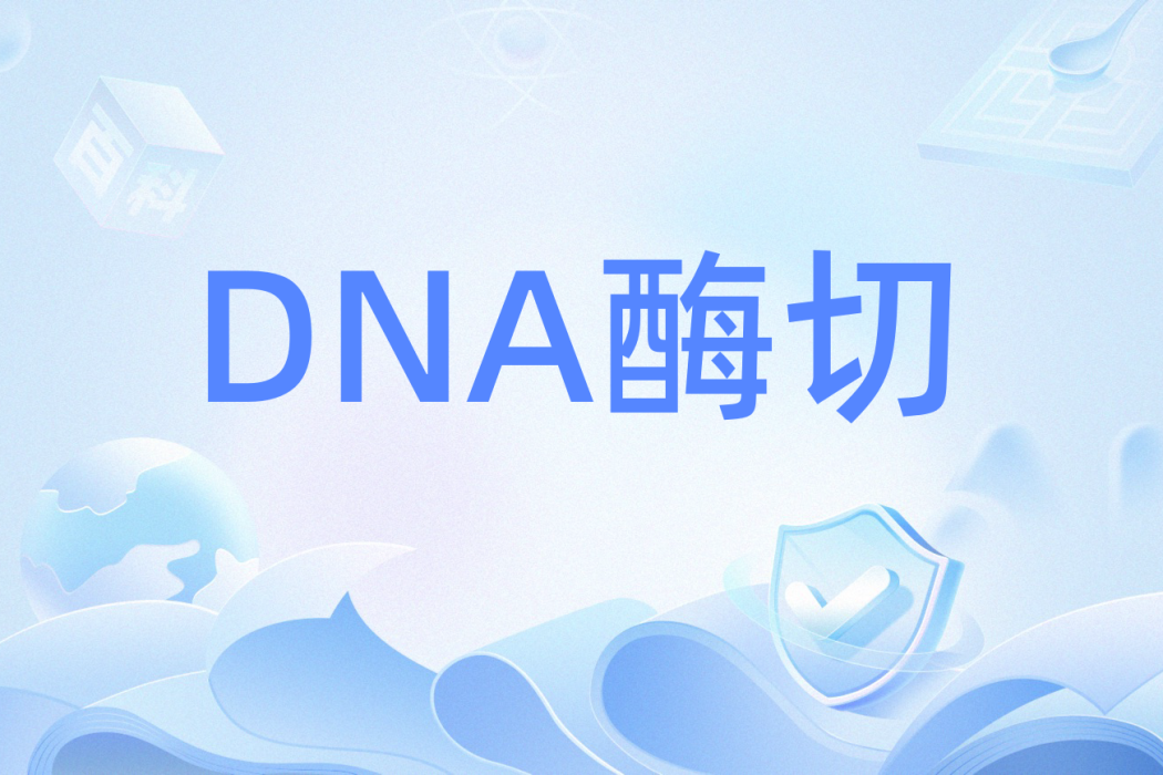 DNA酶切