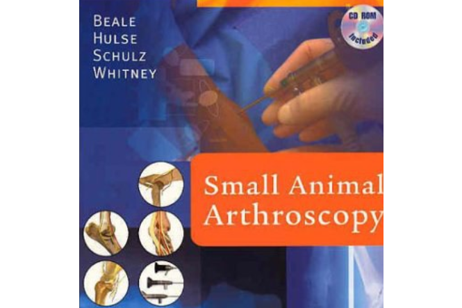 Small Animal Arthroscopy