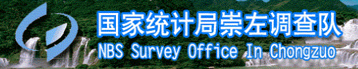 國家統計局崇左調查隊