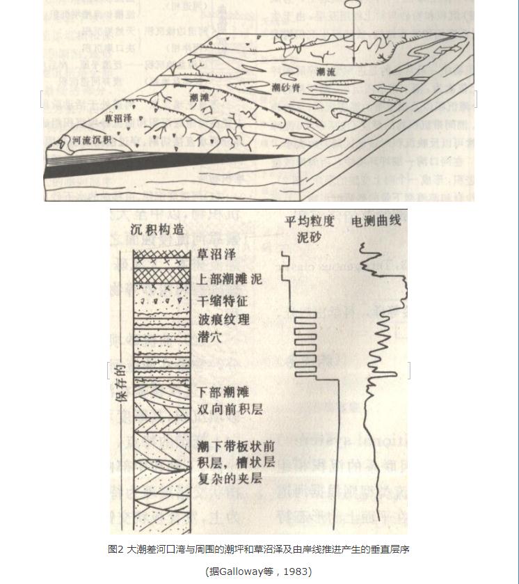 河口灣-潮灘沉積體系