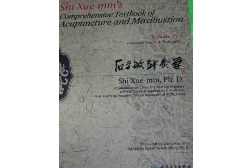 石學敏針灸學(2006年人民衛生出版社出版的圖書)