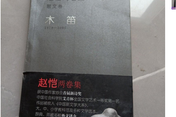 木笛(2006年人民文學出版社出版的圖書)