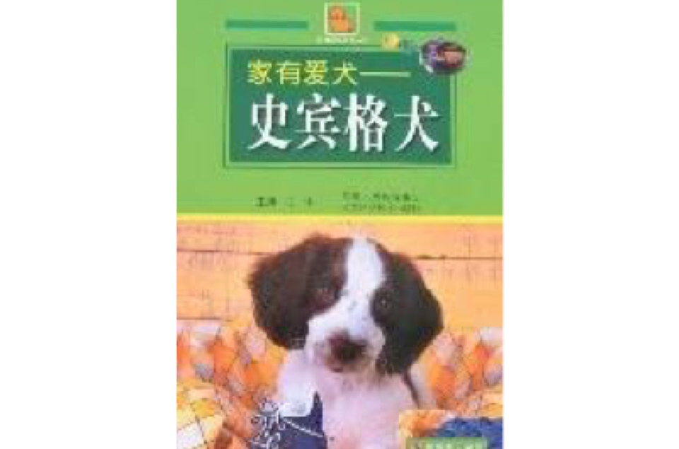 家有愛犬-史賓格犬