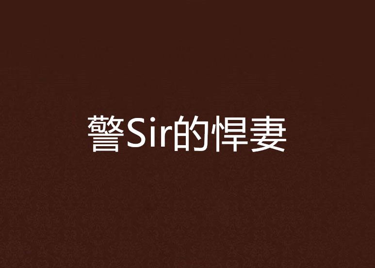 警Sir的悍妻