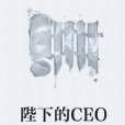 陛下的CEO