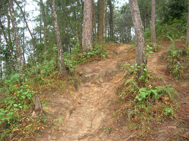 進村路